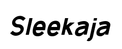 Sleekaja - logo